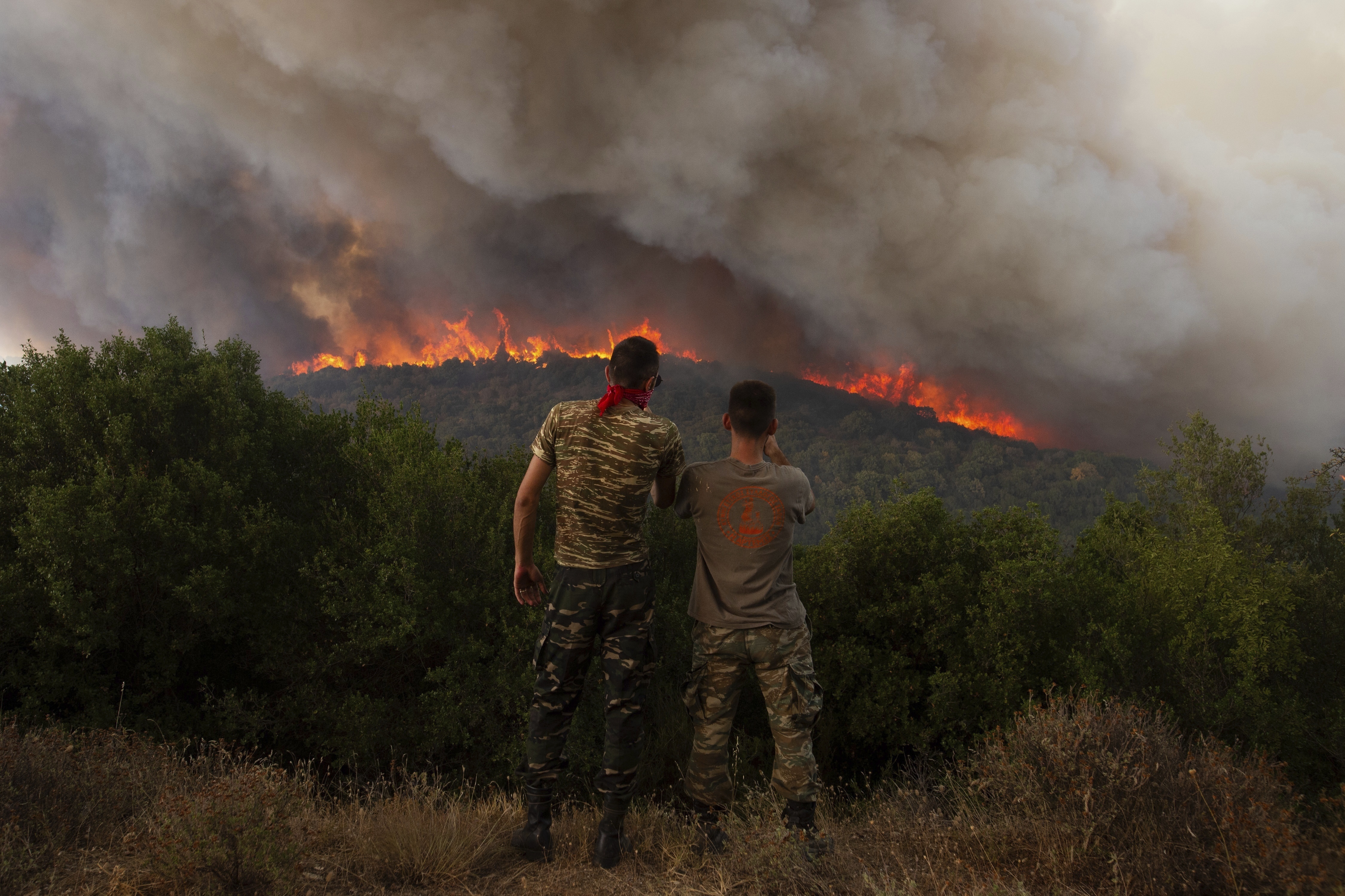 Flames burn a forest during wildfires near the village of Sykorrahi, near Alexandroupolis town, in the northeastern Evros region, Greece, Wednesday, Aug. 23, 2023. Photo / AP