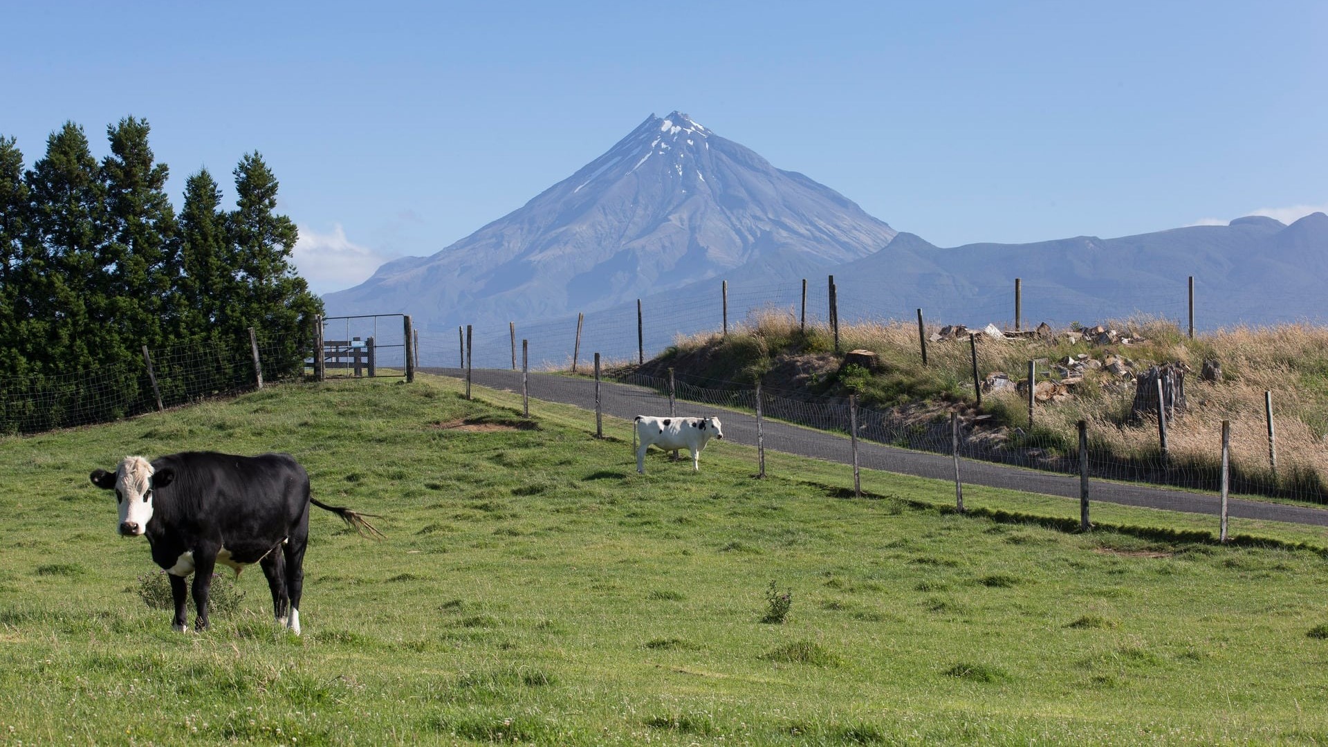 'Lucky to be alive': Five injured climbers, one needing CPR, in 5hr Mt Taranaki rescue