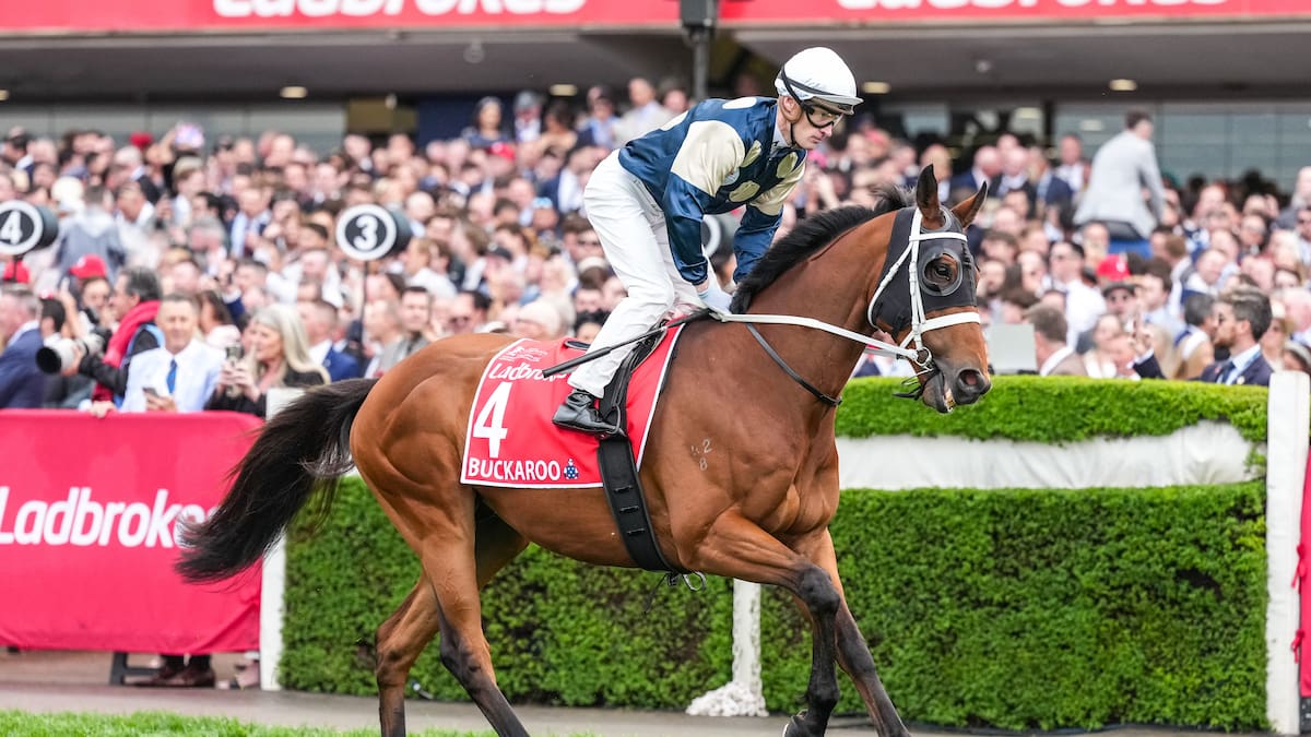 Melbourne Cup 2025: Half Yours claims Melbourne Cup win