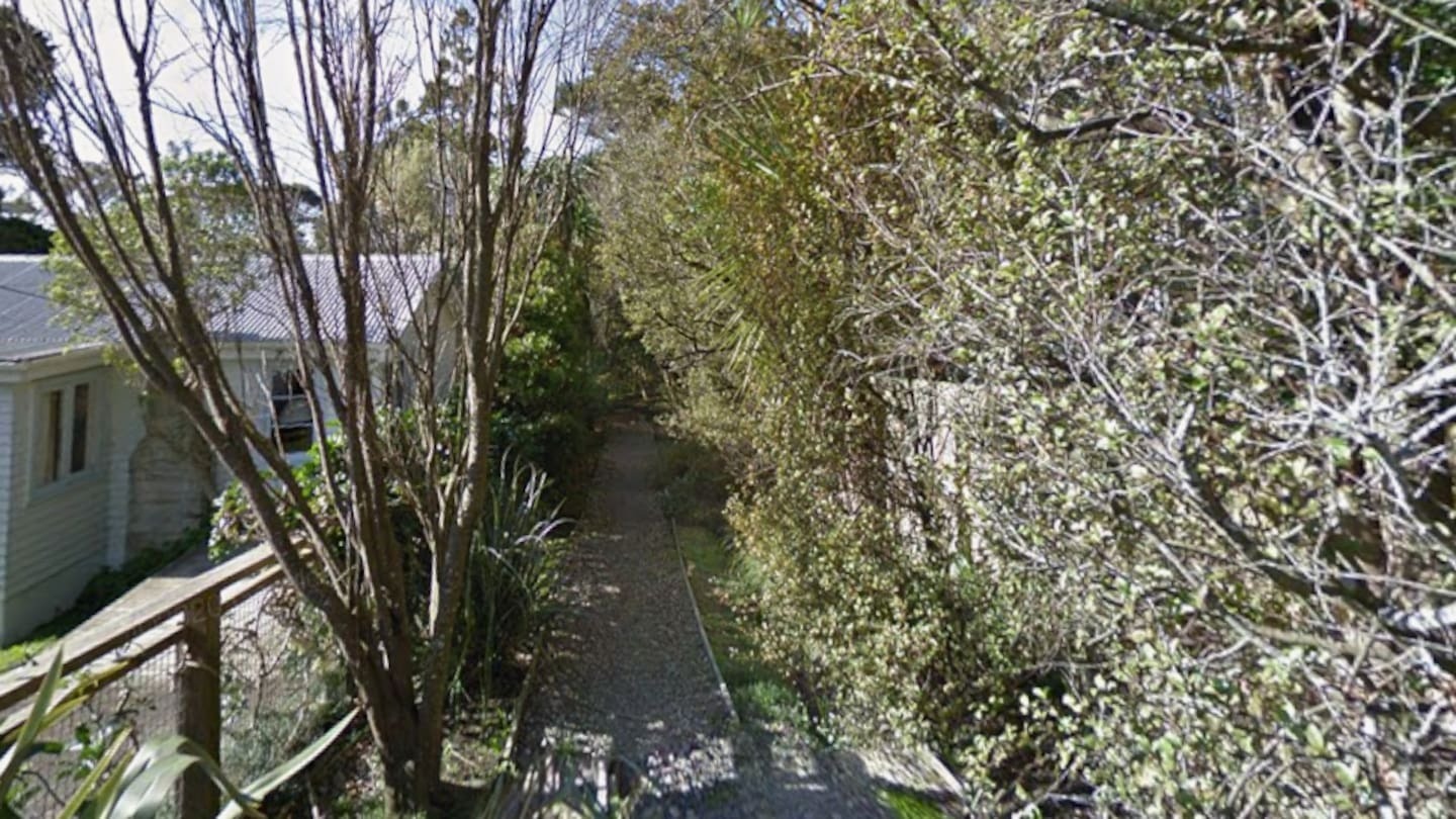The man was spotted walking in Le Roys Bush in Birkenhead. Photo / Google Maps