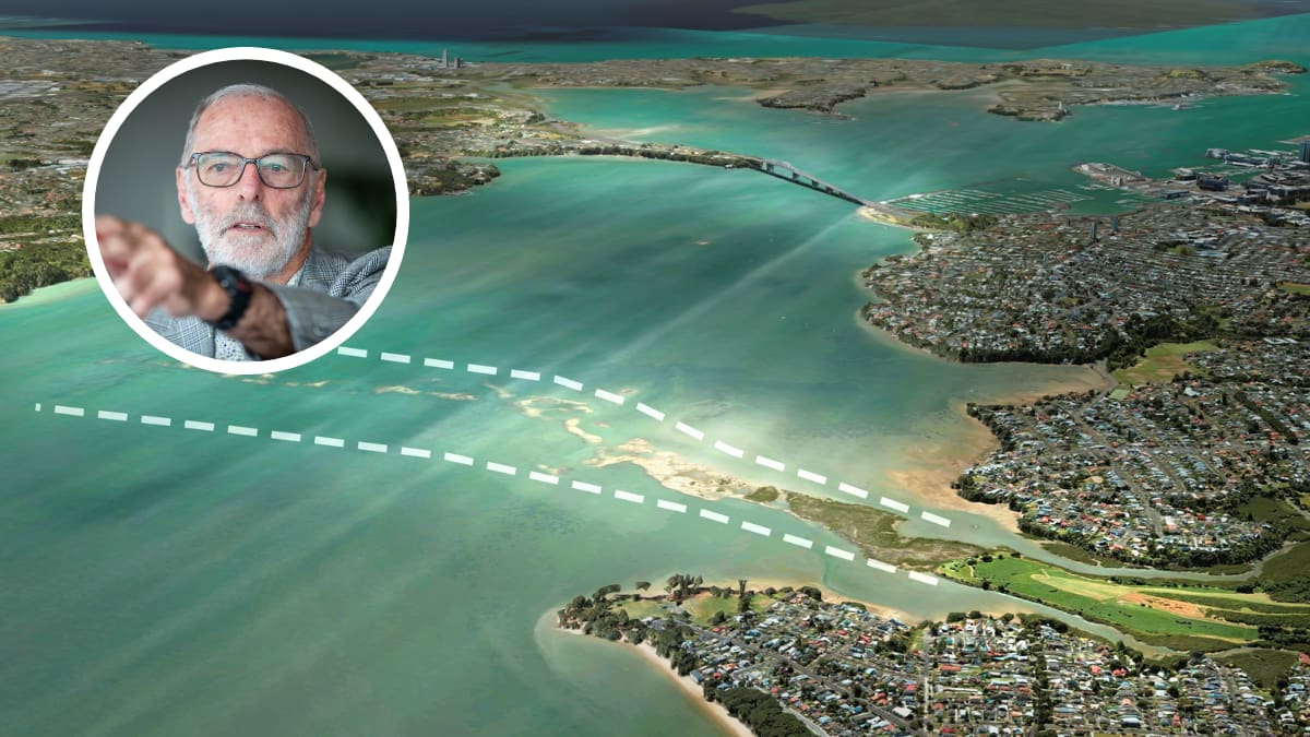 'It's going to be on Meola Reef': Brown decries Govt's tunnel vision while pushing his Pt Chev bridge plan