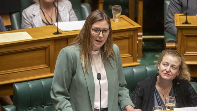 Minister Jo Luxton. Photo / Mark Mitchell