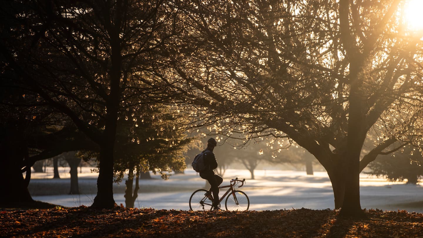 White frost coats Christchurch's Hagley Park this morning. Photo / George Heard