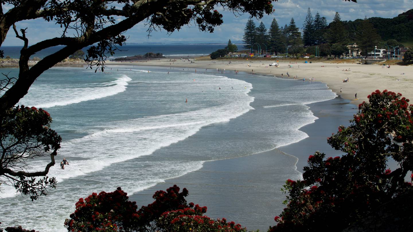 A number of businesses at Mount Maunganui have been listed as locations of interest. Photo / Alan Gibson