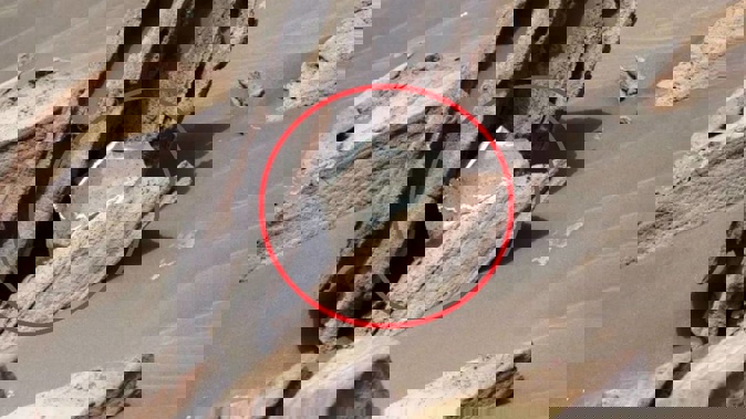 The shiny object is believed to be a piece of thermal blanket. Photo / NASA