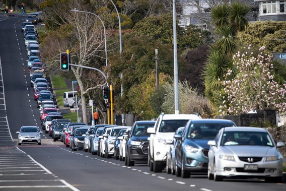 Long queues in line for Covid testing at the Balmoral Community Testing Centre on Balmoral Rd in Mt Eden on August 19. (Photo / Jason Oxenham)