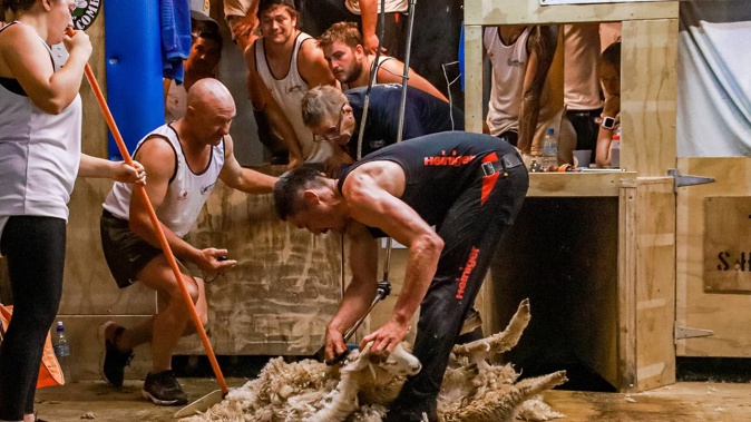 Simon Goss (right) pictured in a two-stand lamb shearing record in January, assisted by Justin Bell, a former record holder. Photo / Ariana Aspinall.
