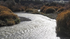 The Makaroro River, in Central Hawke's Bay, was the site of the proposed Ruataniwha Dam and remains the site of the new dam plan - the Tukituki Water Security Project.