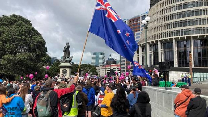 Live: Wellington protest fizzles out, crowds depart