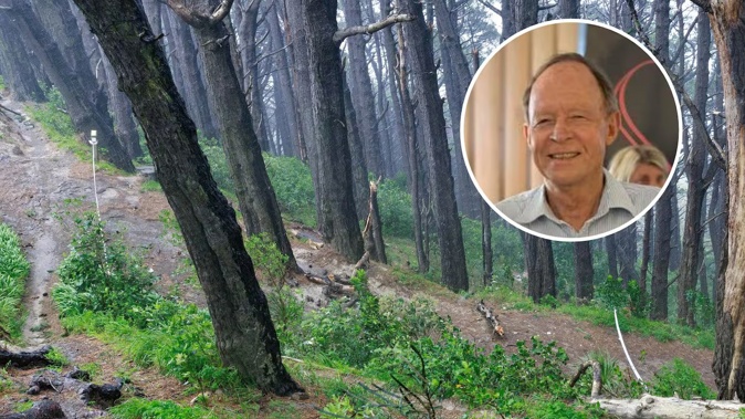 Wellington GP Richard Tyler died after being struck by a branch blown off a tree on Mt Victoria.