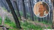 Wellington GP killed by falling tree branch during severe winds