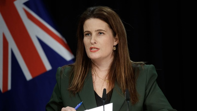Finance Minister Nicola Willis. Photo / Mark Mitchell