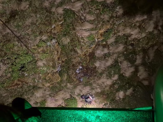 Experienced Wellington tramper David Graham and his dog were plucked to safety from freezing conditions in the Tararua Range on Tuesday morning. Photo / New Zealand Defence Force