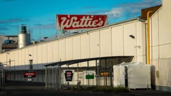Wattie's is a major employer in Hawke's Bay and also sources fruit locally. Photo / Paul Taylor