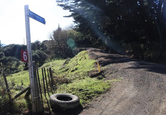 Pukekawa Rd, at Panguru, in Northern Hokianga, where a man is believed to have been mauled to death by some of his 25 dogs, is little more than a 'goat track.'