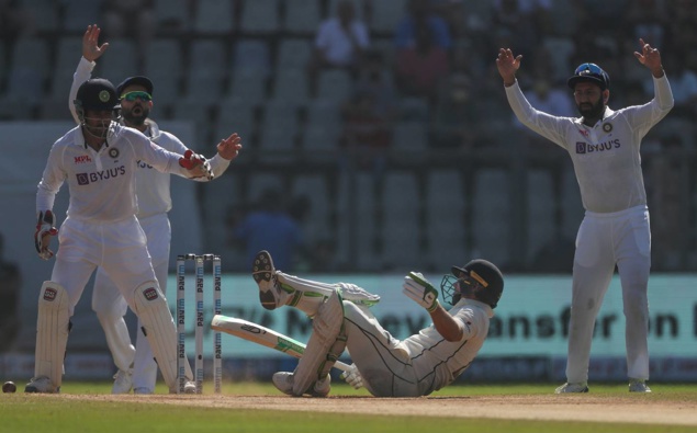 India celebrate a wicket on Day 3 of the Black Caps test match in Mumbai. (Photo / AP)
