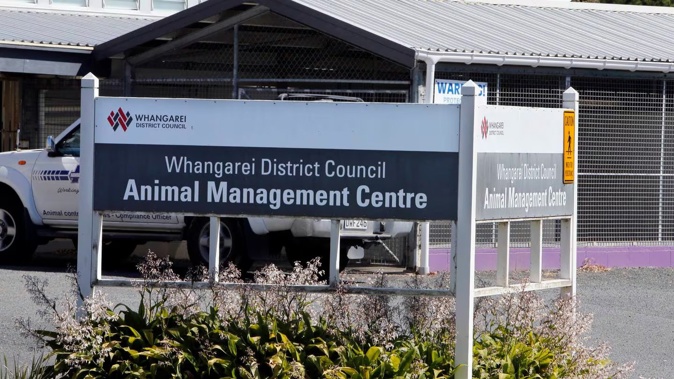 The workplace dynamics of the Whangārei pound are being played out in court this week in the case of an alleged poisoning plot. Photo / NZME
