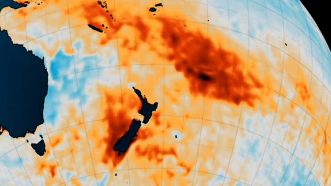 New Zealand’s waters have been experiencing relentless marine heatwaves over recent years, causing cascading losses in mussel and kelp beds, and driving tropical fish drifting into normally colder climes. Image / Niwa