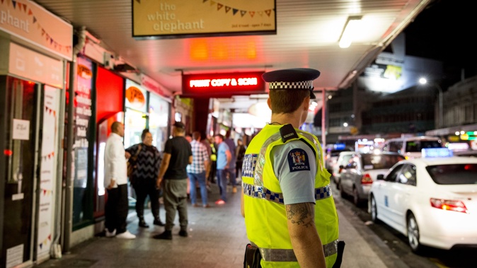 Green MP Tamatha Paul claims police beat patrols make people feel less safe. Photo / Mike Scott