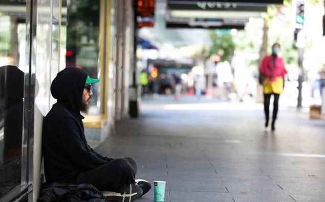 (Photo / NZ Herald)