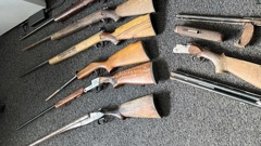 Firearms seized during Operation Cobalt searches in the Far North. Photo / NZ Police