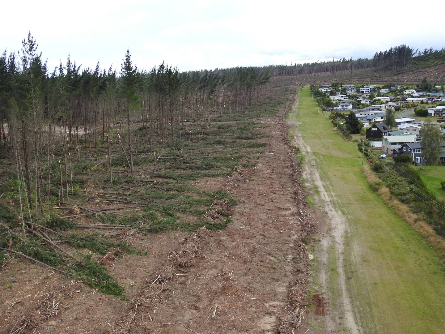 Photo / The Lines Company