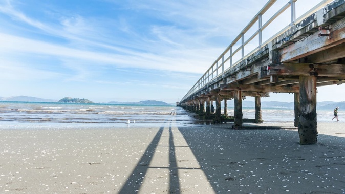 Numerous iwi groups brought the proposal forward, seeking a correction of a historic 'misspelling' of the Hutt Valley suburb.