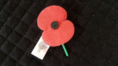 Pay your respects at these Anzac Day events and services across New Zealand. Photo / Stuart Whitaker