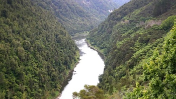 Support growing for granting ecosystems legal personhood - NZ researchers