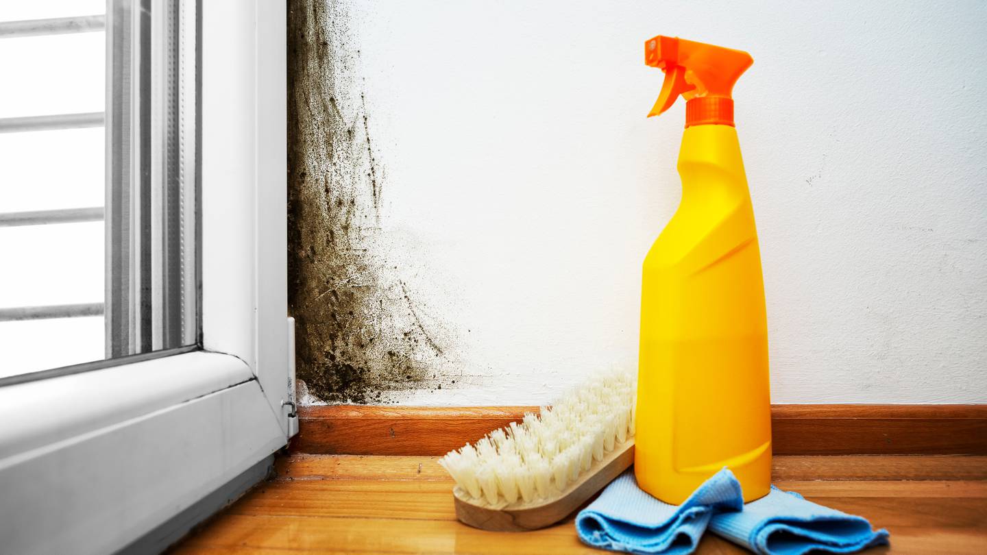 Claudia Dickson's grandfather Steven Bradford, has to pay her $10,700 after renting her a cold, damp house, with mould on the walls which caused adverse health effects. Photo / 123RF