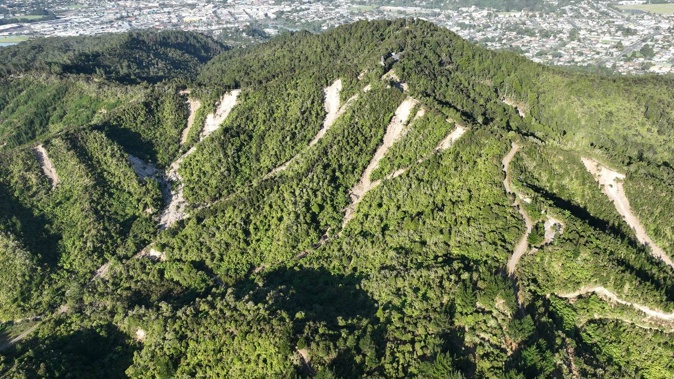 Parihaka has been affected by a number of slips following Cyclone Gabrielle. Photo / Supplied