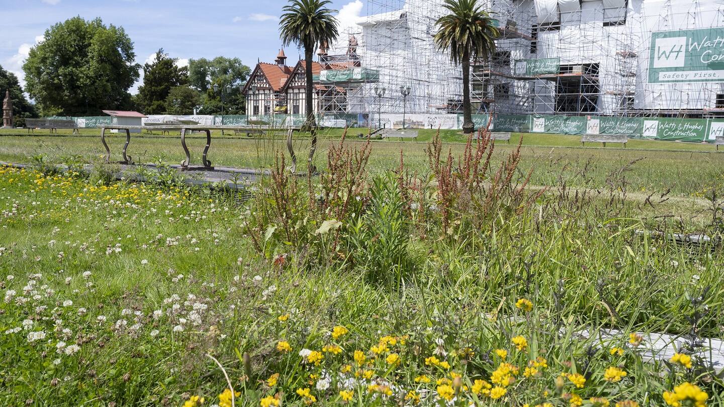 'Unacceptable': Long grass at tourist drawcard an 'eyesore'