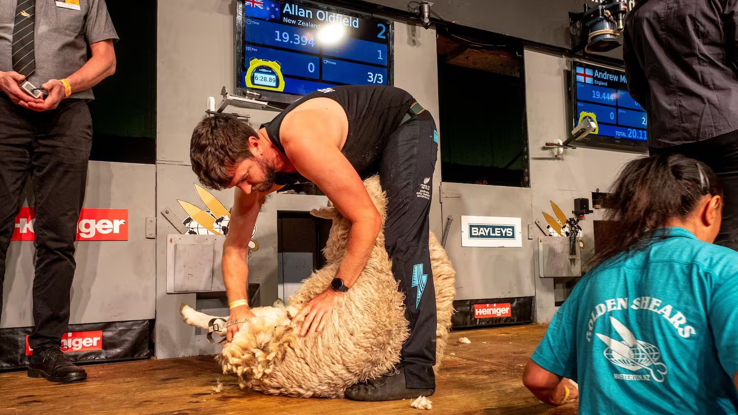 Golden Shears 2026: Kiwis dominate this year's event 