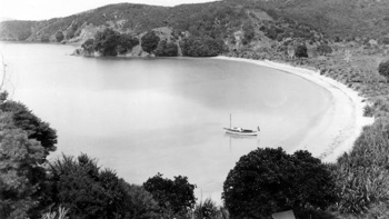 Latest ZB PLUS News & Opinion