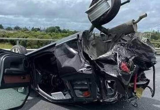 A horror crash on Auckland's State Highway 20 ended in the death of a pet dog. Photo / Supplied
