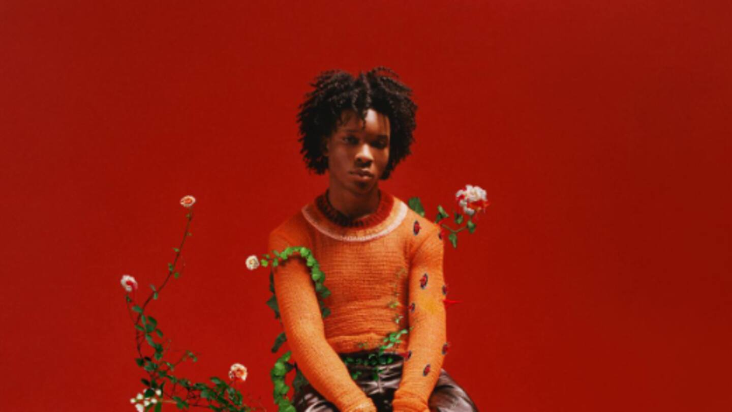 David Burke, better known as D4vd, is allegedly now being treated as a suspect in the murder of Celeste Rivas. Photo / D4vd