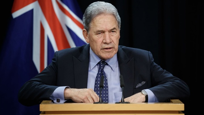 Winston Peters is rallying against DEI policies. Photo / Mark Mitchell