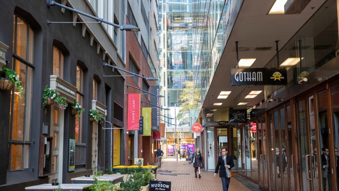 The plan will improve more than 12km of walking infrastructure. (Photo / Mark Mitchell)