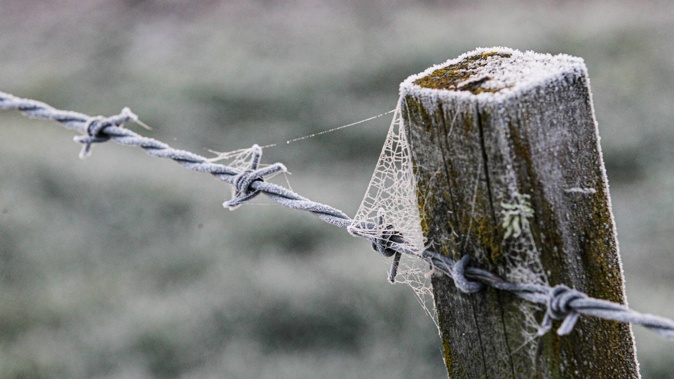 After what’s been another of our warmest Junes on the books the rest of winter marks a cool transition that climate scientists have long been anticipating. Photo / Warren Buckland