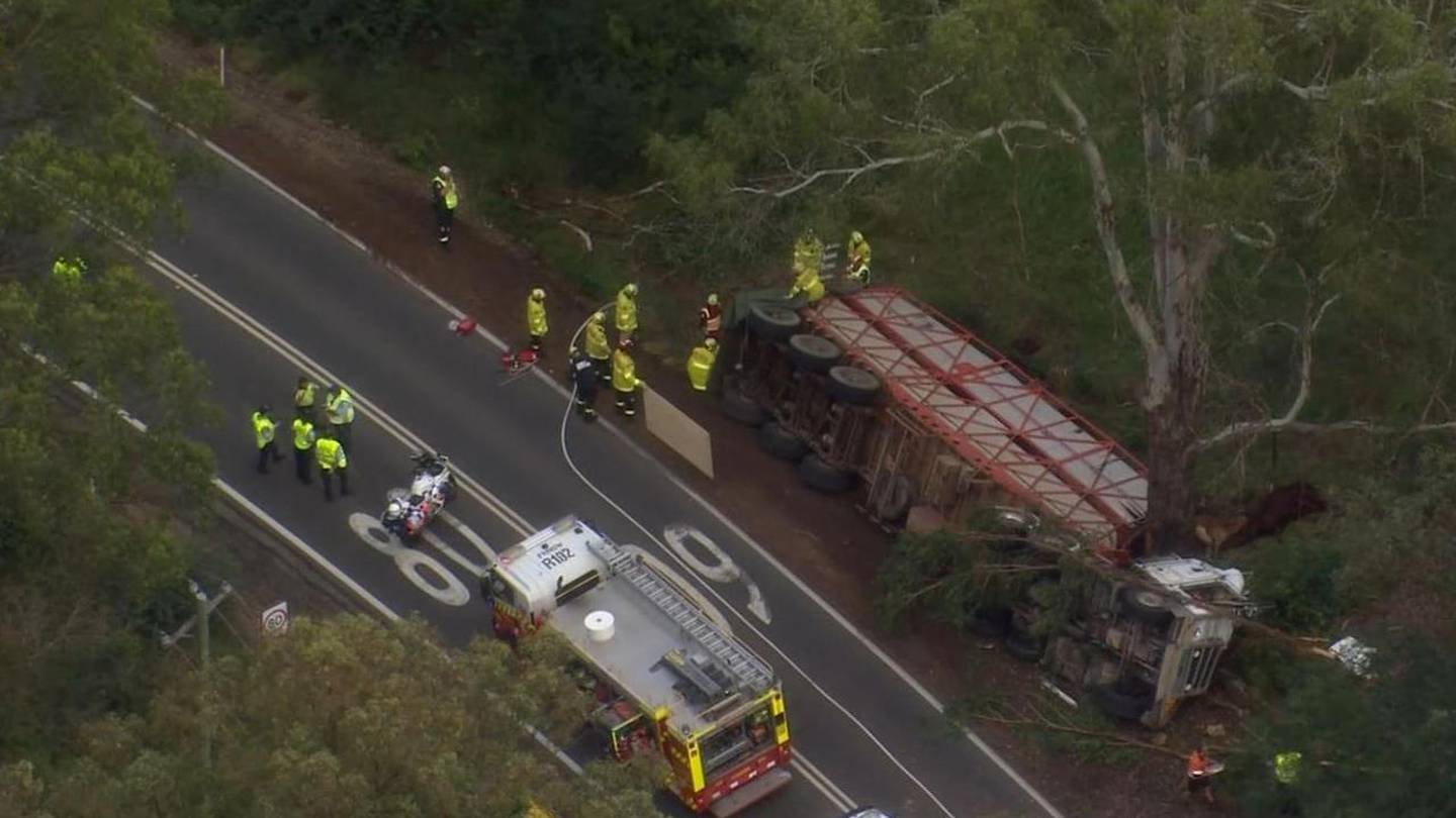 The truck was carrying cows when it crashed on Mulgoa Rd in Glenmore Park. Photo / Channel 7