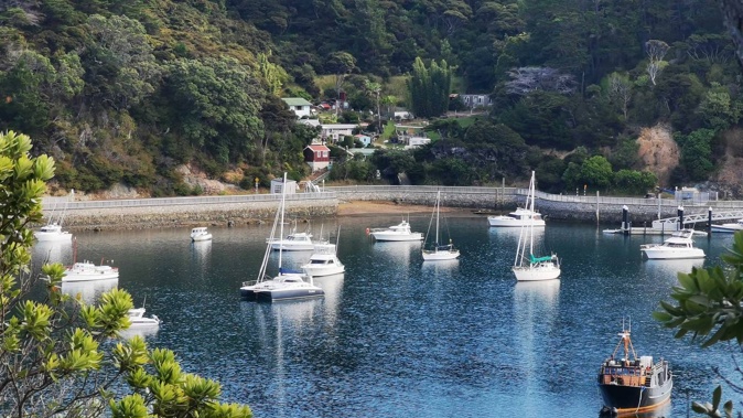 Yachts anchored at Tryphena Harbour, Great Barrier Island. Photo / Will Trafford