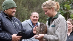 Ngāti Rangi's Fred Clarke and Department of Conservation biodiversity ranger Jenny Hayward released Geyser the kiwi into Rangataua Forest in 2015