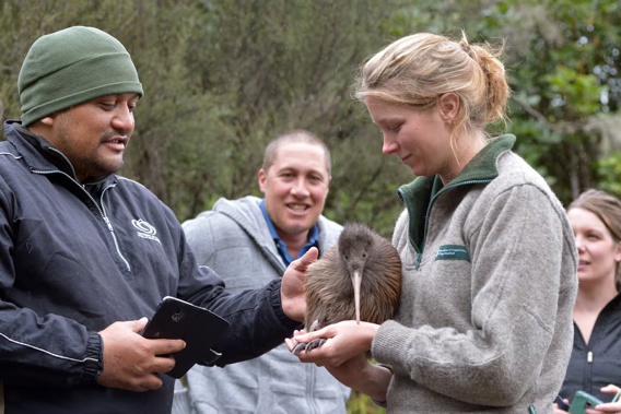 Ngāti Rangi's Fred Clarke and Department of Conservation biodiversity ranger Jenny Hayward released Geyser the kiwi into Rangataua Forest in 2015