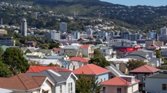 Housing in Mt Victoria, looking across Te Aro to Brooklyn. Photo / Mark Mitchell