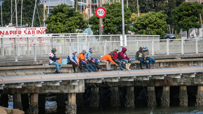Fishermen make the most out of the weather gaps in Napier on Sunday. Photo / Paul Taylor