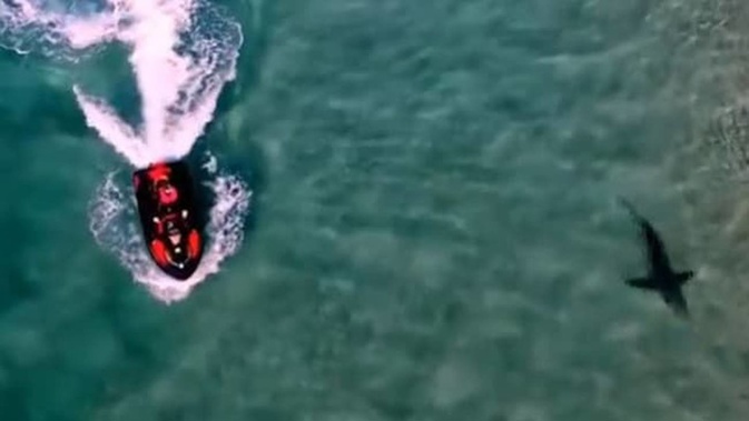 Drone footage captured the encounter. (Photo / via Instagram)