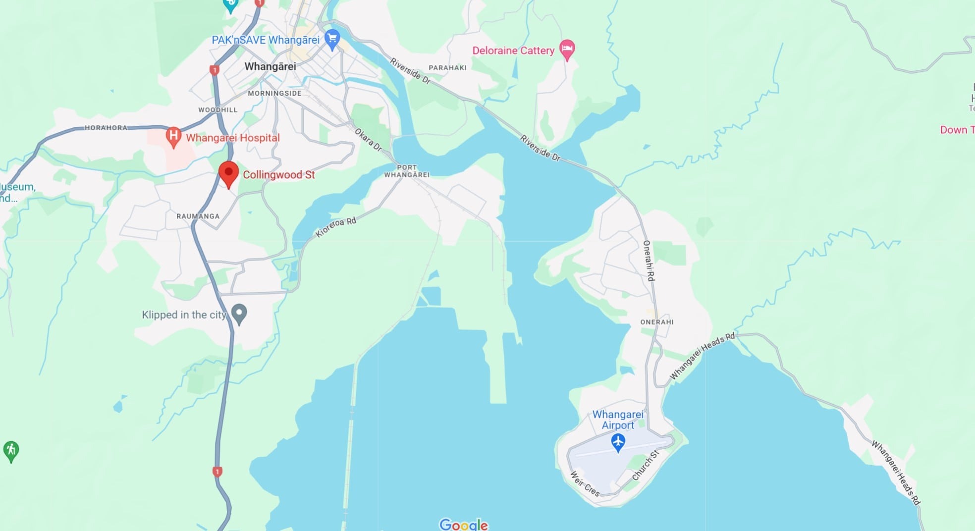 Gunshots have hit the home of a 70-year-old woman on Collingwood St in Whangārei, leaving her shaken. Photo / Google