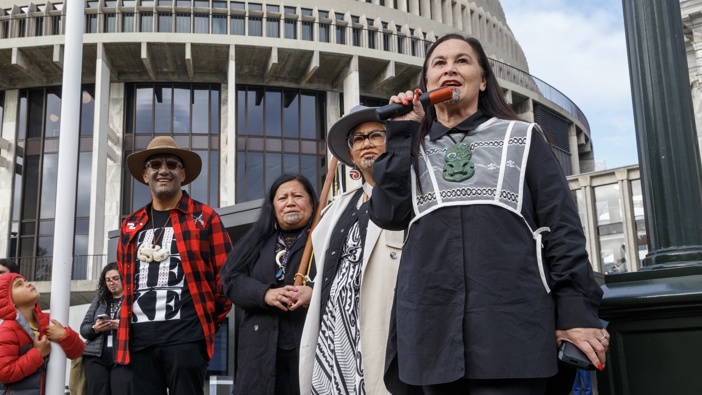 Debbie Ngarewa Packer speaks outside Parliament during yesterday's protest. Photo / Claire Trevett