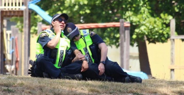(Photo / NZ Herald)