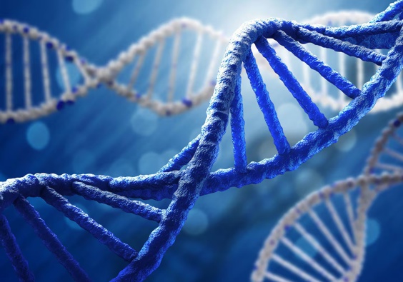 The DNA testing craze saw millions send their saliva off for testing. Photo / 123RF